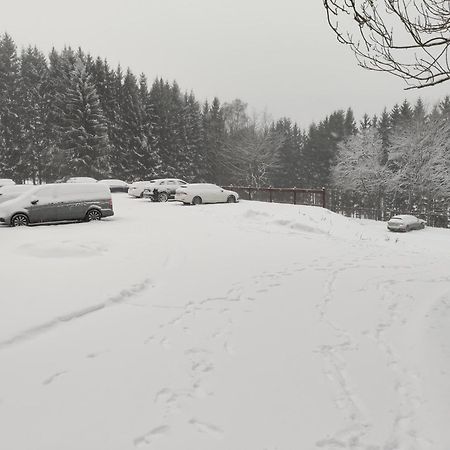 Apartman Berg Brcalnik Železná Ruda Dış mekan fotoğraf
