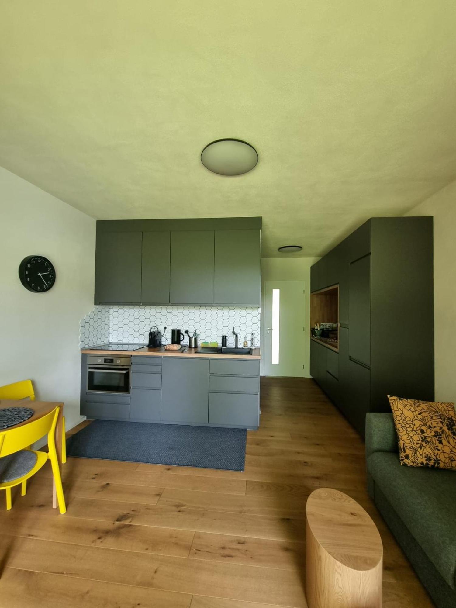 Apartman Berg Brcalnik Železná Ruda Dış mekan fotoğraf